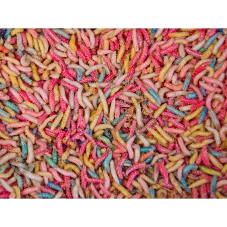 KOSTNI ČRVI (PINKI) 1KG