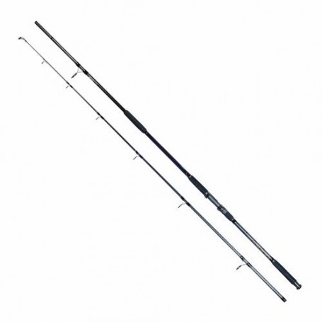 ROBINSON LIVE BAIT CATFISH 3,30M 100 - 350 G