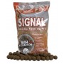 STAR BAITS BOILIJI SIGNAL