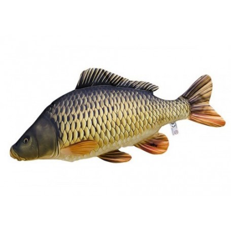 KRAP LUSKINAR  (DOLŽINA RIBE 61cm) - VZGLAVNIK