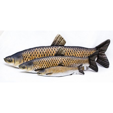 AMUR small  (DOLŽINA RIBE 73cm) VZGLAVNIK
