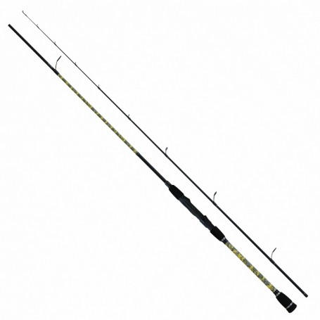 ROBINSON MAVERICK HEAVY Jig (2.70M, 10-60g)
